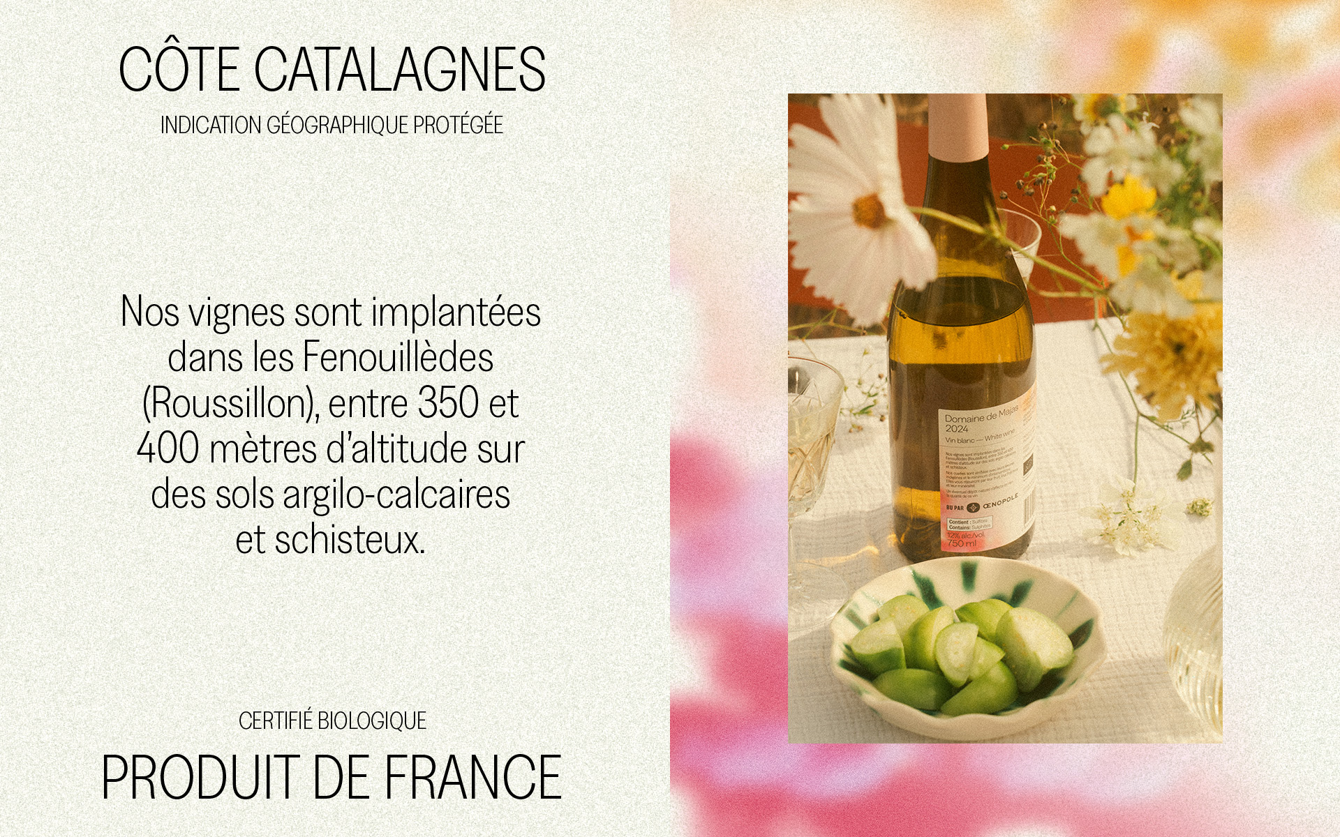 MAJAS_TEXTE_BOUTEILLE_BACK
