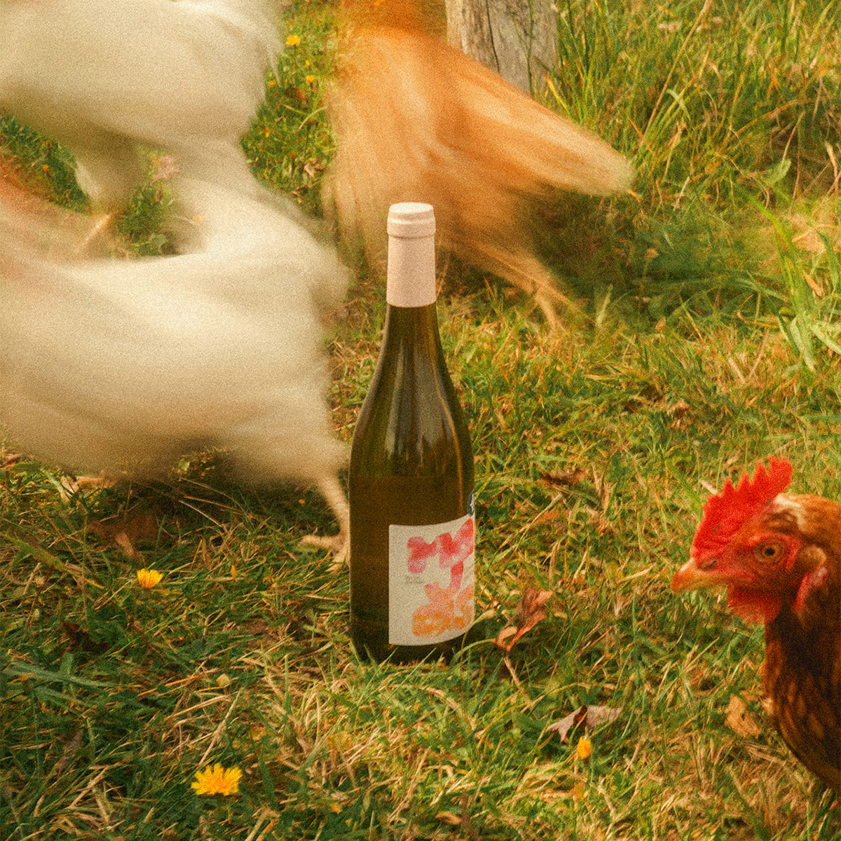 GIF_HOMEPAGE GIF_HOMEPAGE