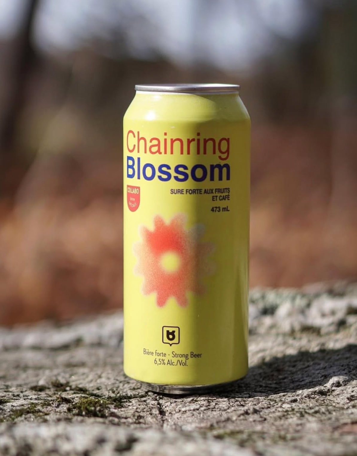 Capture d’écran, le 2025-10-27 à 14.16.39