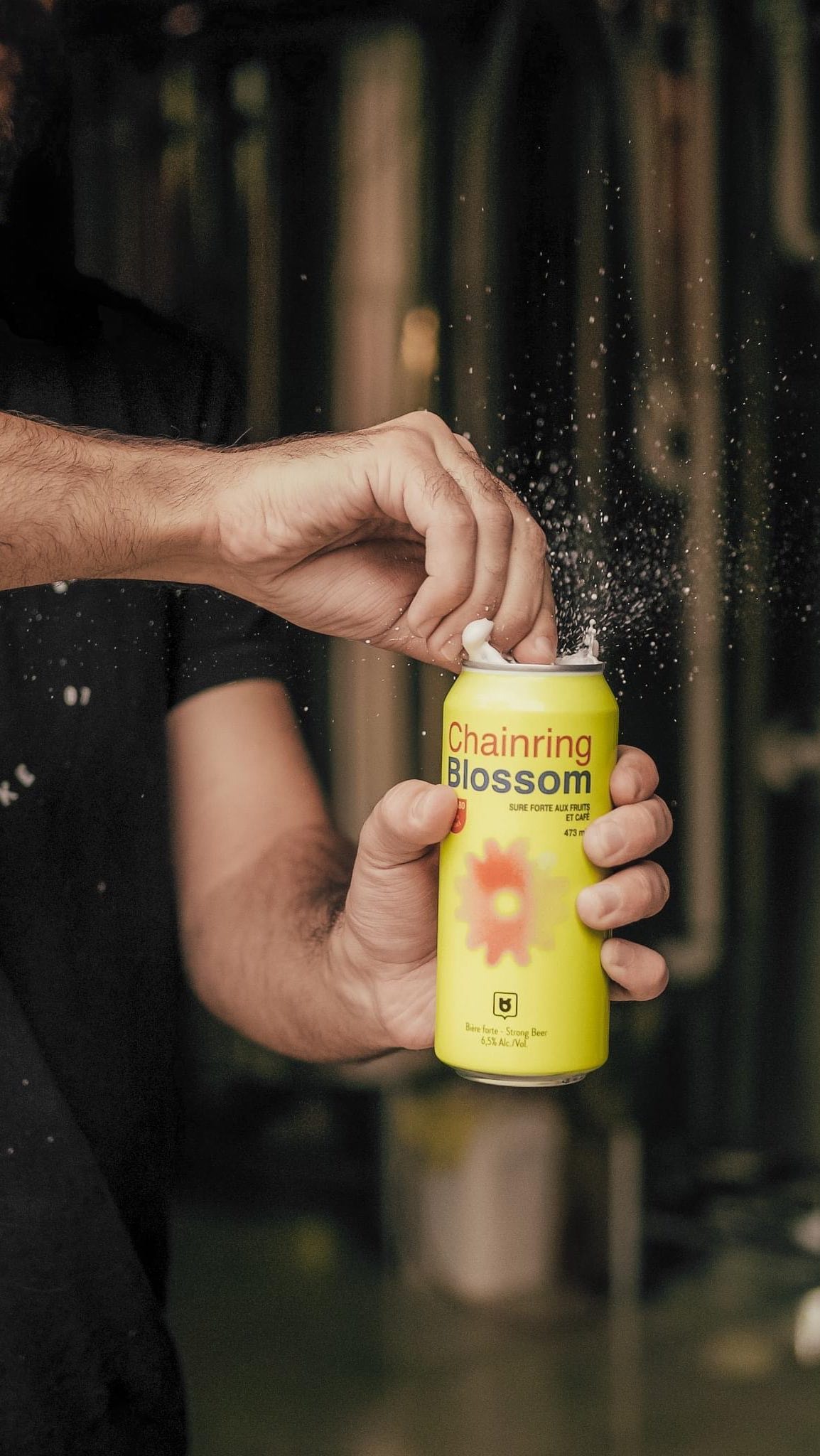 imgi_52_498614318_1025696815849320_6508504674865461936_n